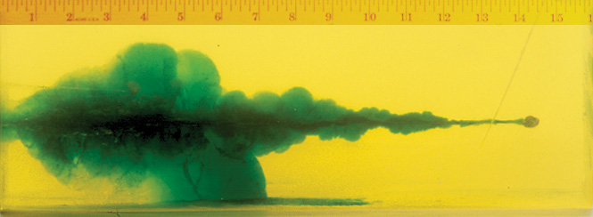 Wound Characteristics Wound Characteristics