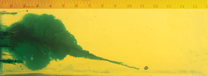 Wound Characteristics Wound Characteristics