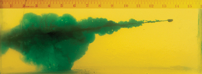 Wound Characteristics Wound Characteristics