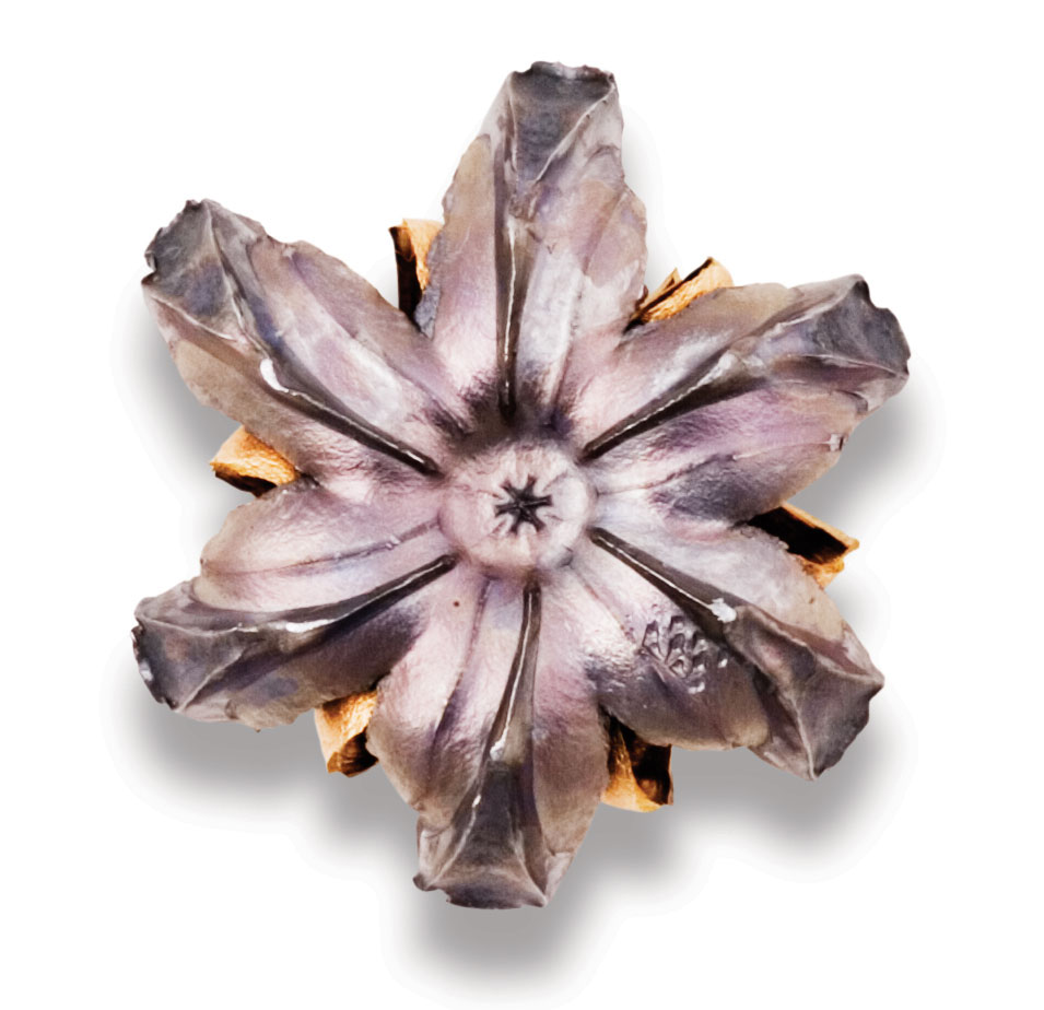 Recovered Bullet Recovered Bullet