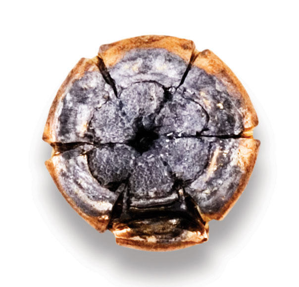 Recovered Bullet Recovered Bullet