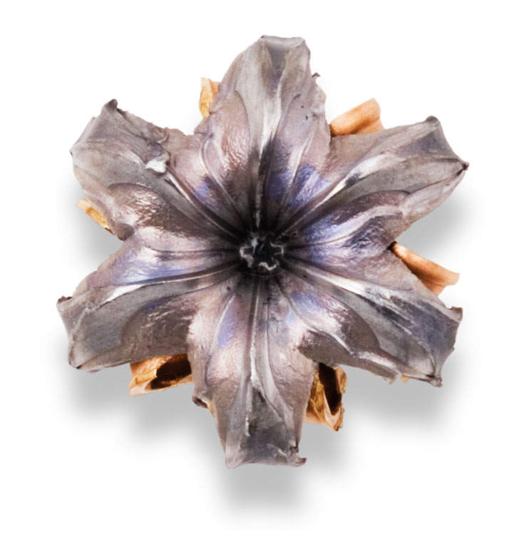 Recovered Bullet Recovered Bullet