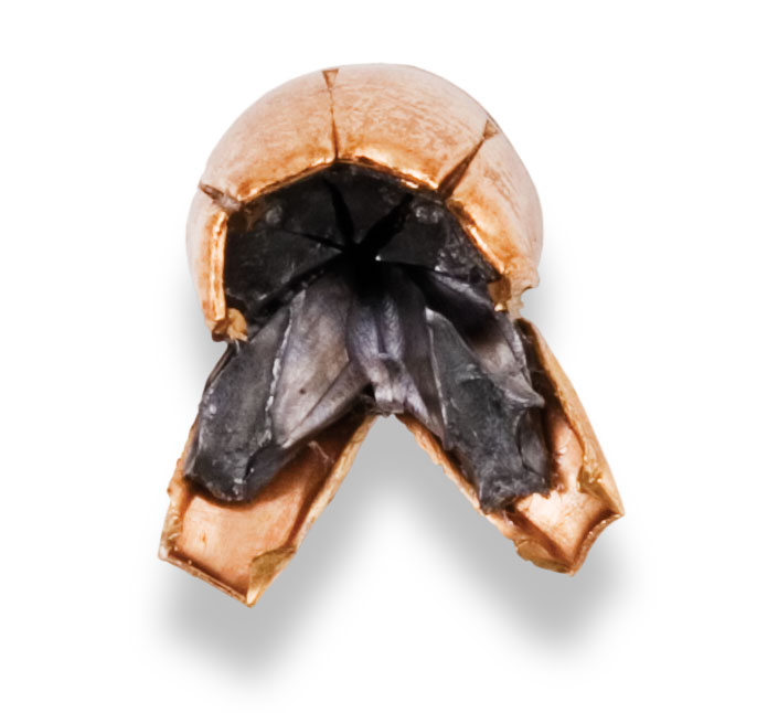 Recovered Bullet Recovered Bullet