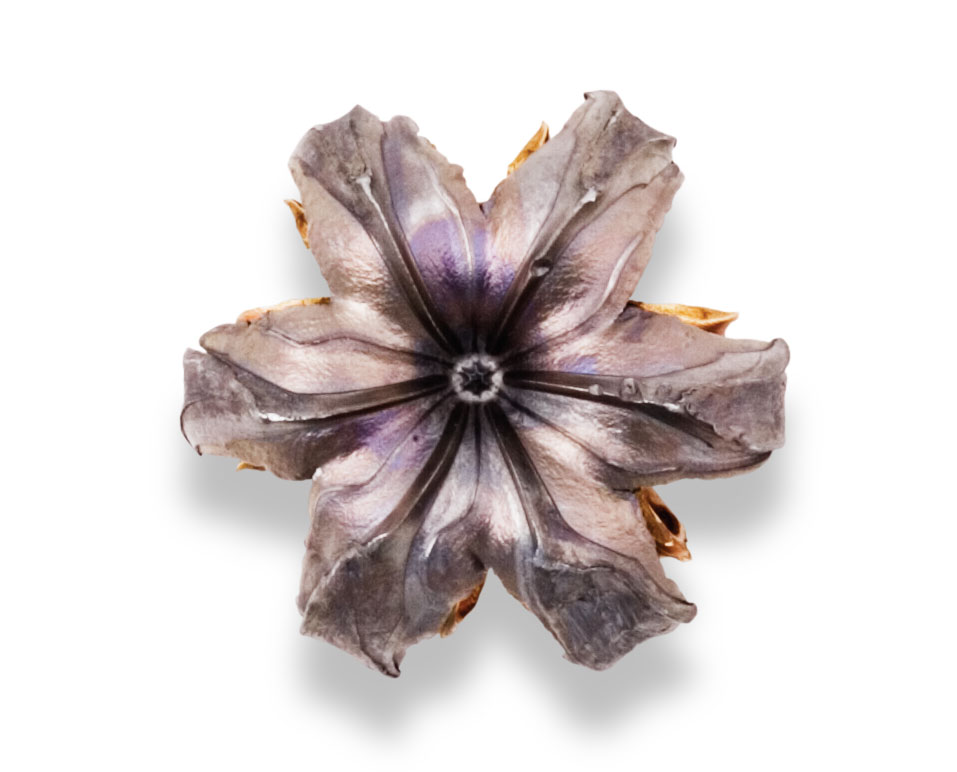 Recovered Bullet Recovered Bullet