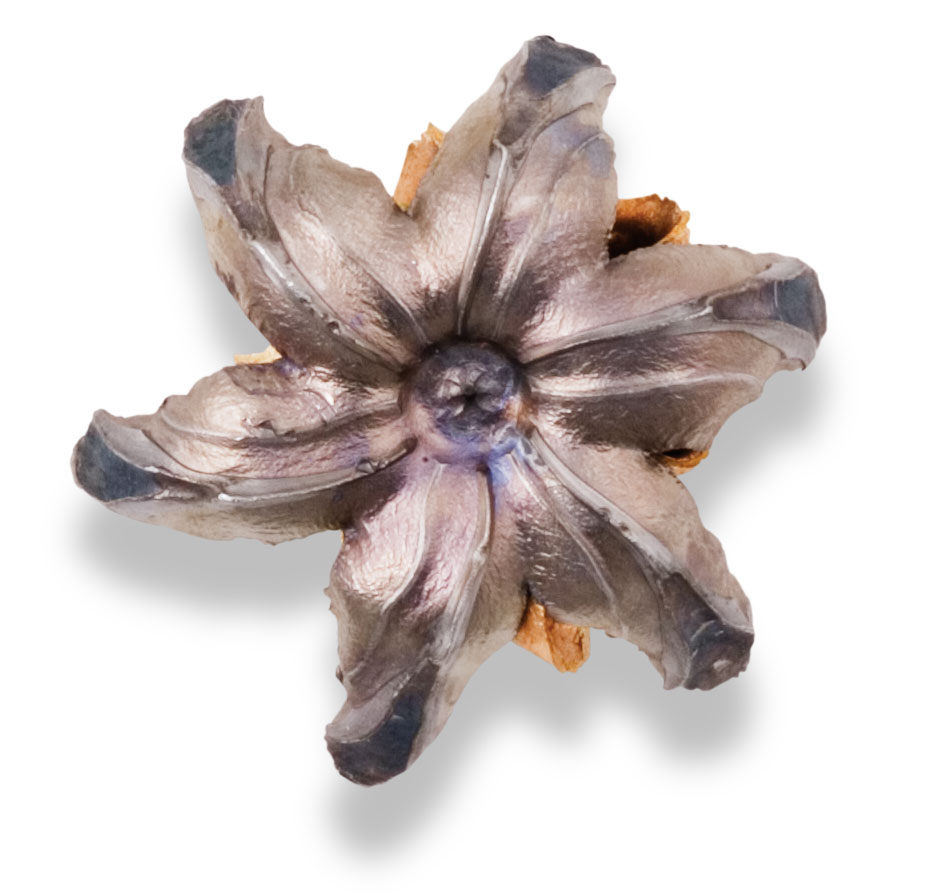 Recovered Bullet Recovered Bullet