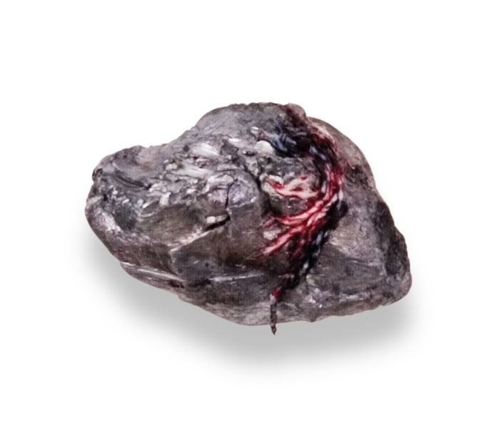 Recovered Bullet Recovered Bullet