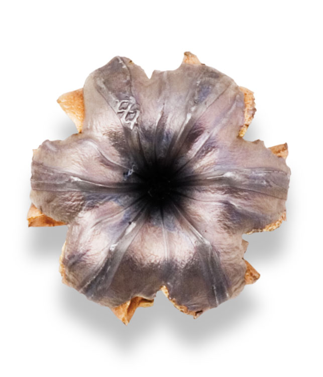 Recovered Bullet Recovered Bullet