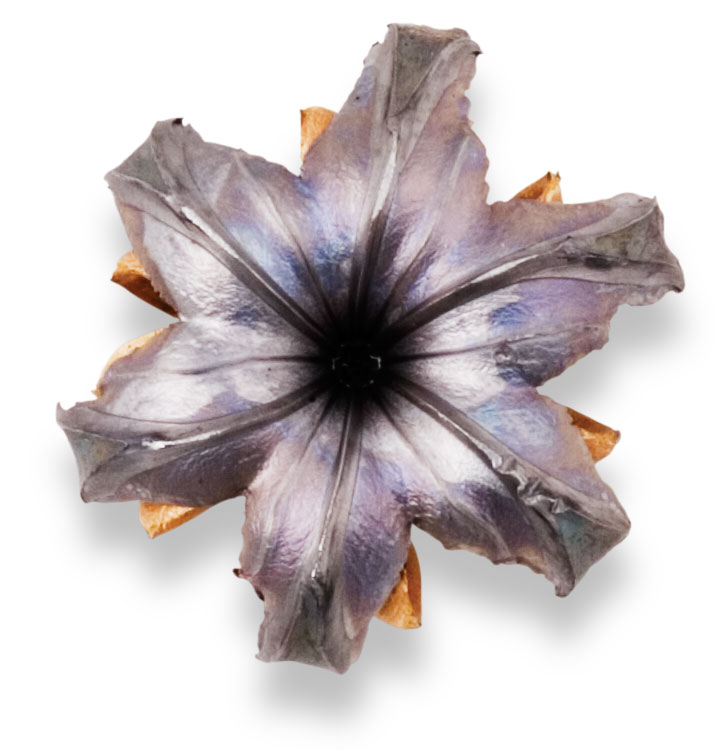 Recovered Bullet Recovered Bullet