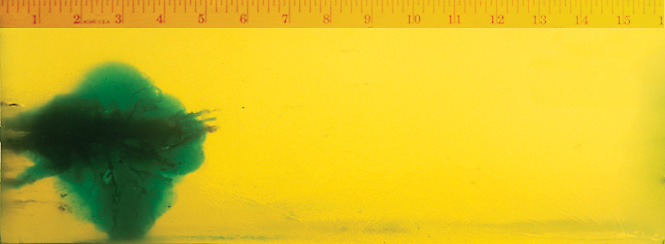 Wound Characteristics Wound Characteristics