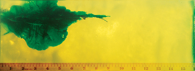 Wound Characteristics Wound Characteristics