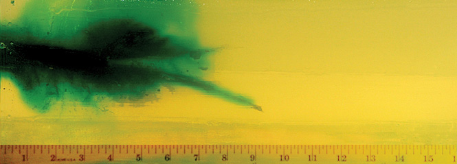 Wound Characteristics Wound Characteristics