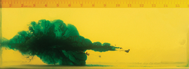 Wound Characteristics Wound Characteristics