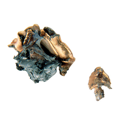 Recovered Bullet Recovered Bullet