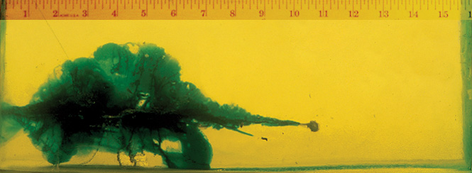 Wound Characteristics Wound Characteristics