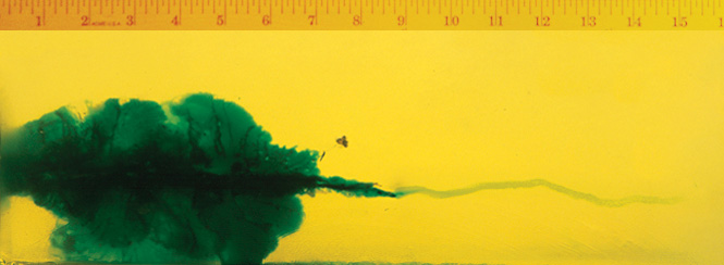 Wound Characteristics Wound Characteristics